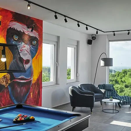 Riverside Pool Villa-sremski Karlovci 别墅