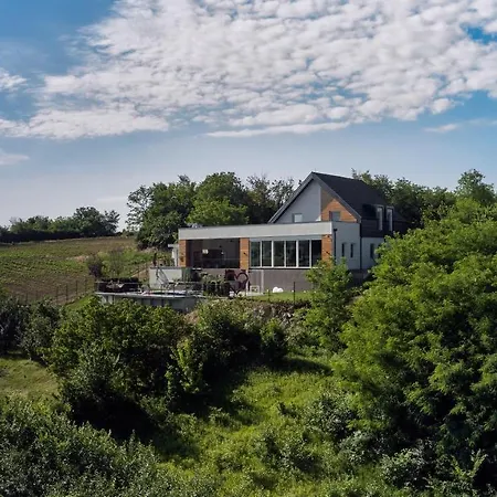 Riverside Pool Villa-sremski Karlovci Villa Sremski Karlovci