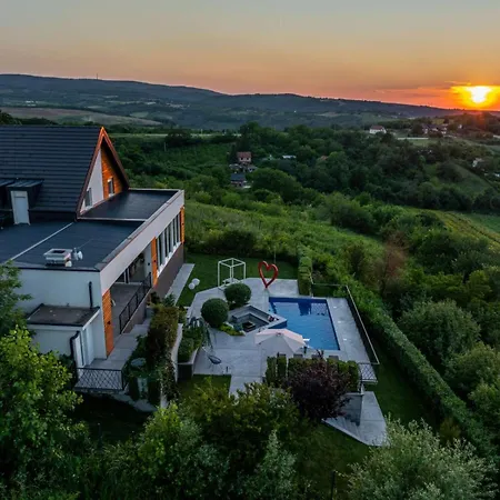 Riverside Pool Villa-sremski Karlovci 别墅 *